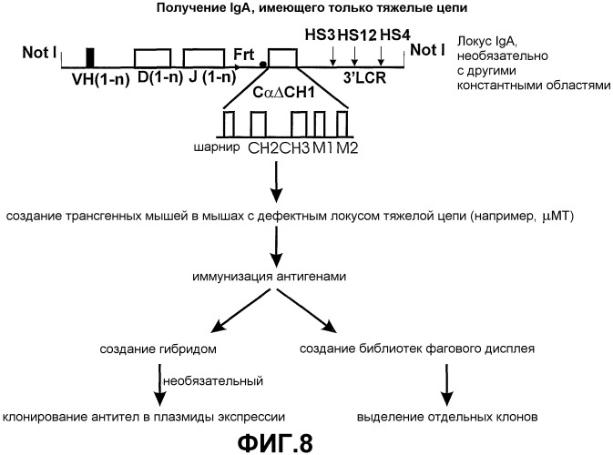 Способ получения антиген-связывающего домена vh использование (патент 2398882)