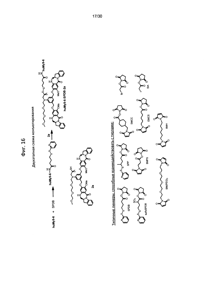 Способы получения конъюгатов (патент 2621035)