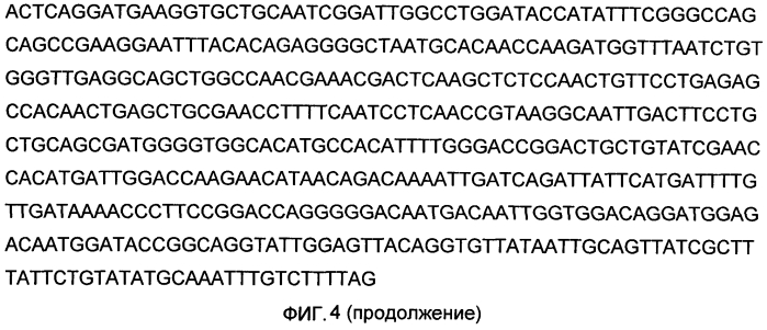 Иммунобиологическое средство и способ его использования для индукции специфического иммунитета против вируса эбола (варианты) (патент 2578160)