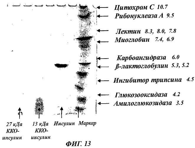 N-концевое полисиалилирование (патент 2432175)