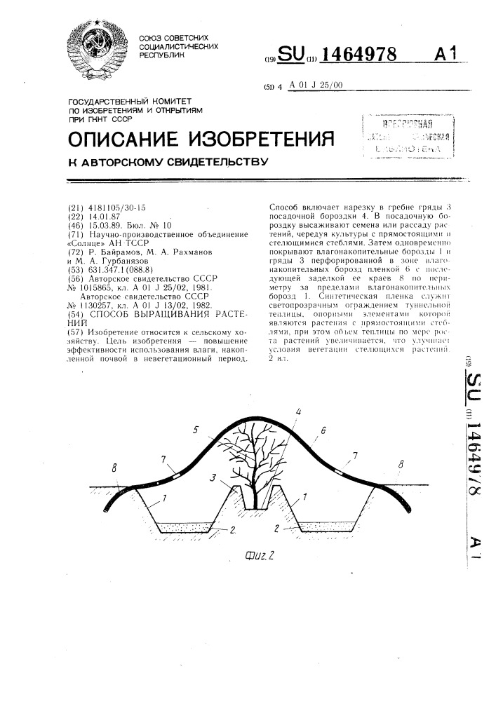 Способ выращивания растений (патент 1464978)
