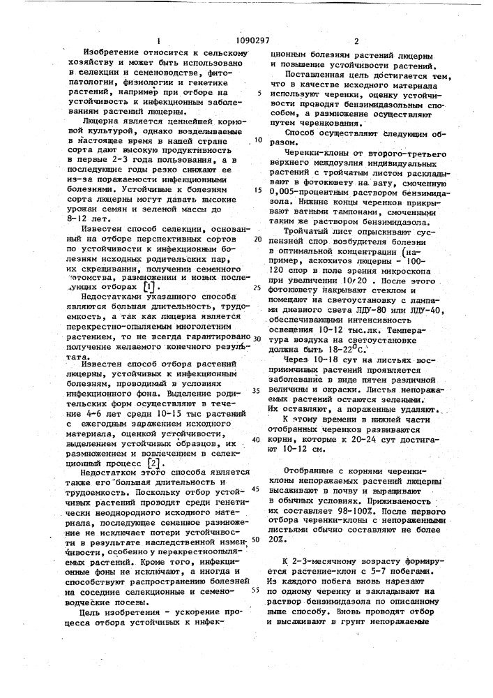 Способ селекции растений люцерны на устойчивость к инфекционным заболеваниям (патент 1090297)