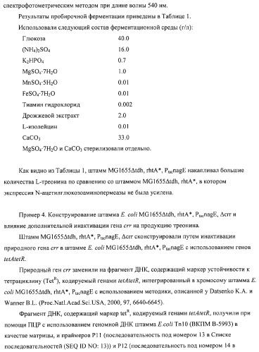 Способ получения l-аминокислот с использованием бактерии, принадлежащей к роду escherichia (патент 2312893)