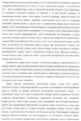 Бесконтактные способы обнаружения молекулярных колоний, наборы реагентов и устройство для их осуществления (патент 2394915)