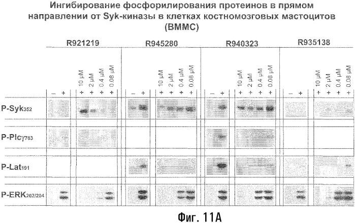 Способы лечения или профилактики аутоиммунных заболеваний с помощью соединений 2,4-пиримидиндиамина (патент 2376992)