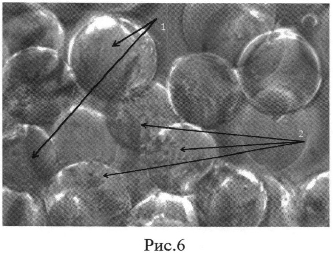 Способ получения тканеспецифического матрикса для тканевой инженерии паренхиматозного органа (патент 2539918)