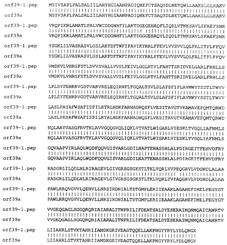 Антигены neisseria meningitidis (патент 2343159)