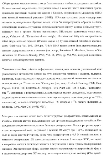 Молекулы нуклеиновых кислот, кодирующие wrinkled1-подобные полипептиды, и способы их применения в растениях (патент 2385347)