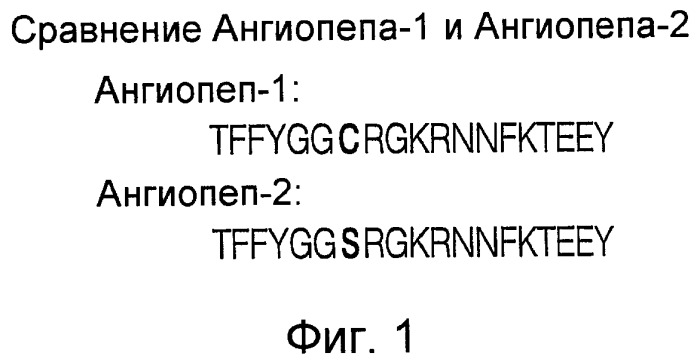 Усиление действия противораковых агентов (патент 2422143)