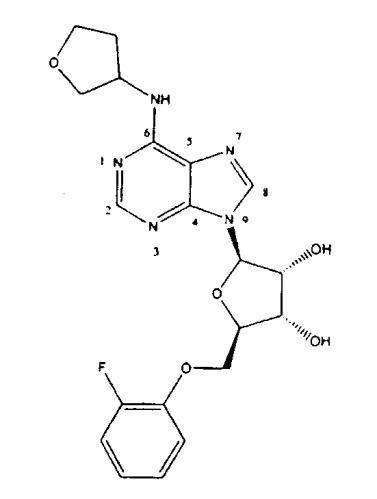 Частичные и полные агонисты аденозиновых рецепторов а 1 (патент 2317994)