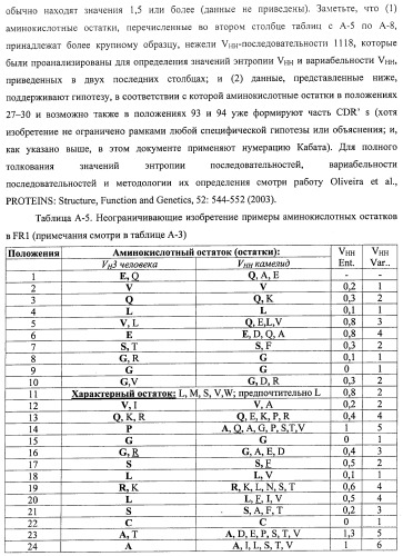 Аминокислотные последовательности, направленные на rank-l, и полипептиды, включающие их, для лечения заболеваний и нарушений костей (патент 2481355)