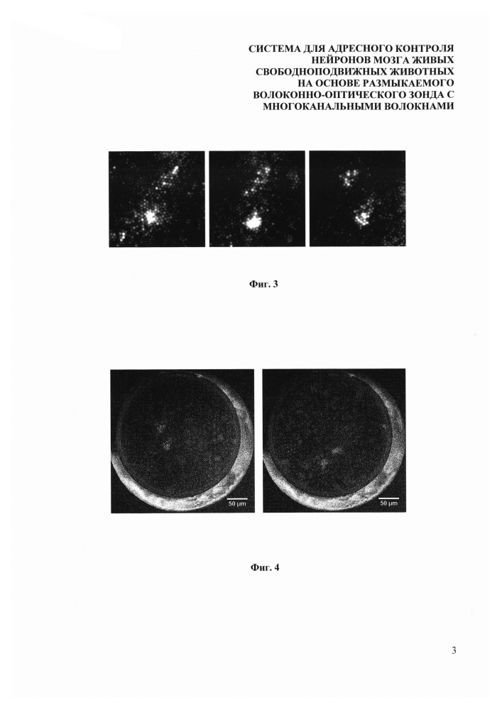 Система для адресного контроля нейронов мозга живых свободноподвижных животных на основе размыкаемого волоконно-оптического зонда с многоканальными волокнами (патент 2639790)