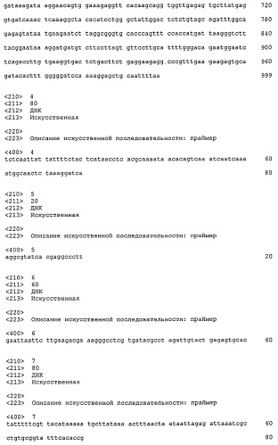 Способ получения сахарного раствора (патент 2516792)