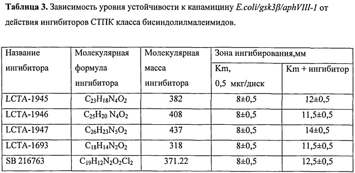 Тест-система для скрининга ингибиторов протеинкиназы gsk3β; человека (патент 2528059)