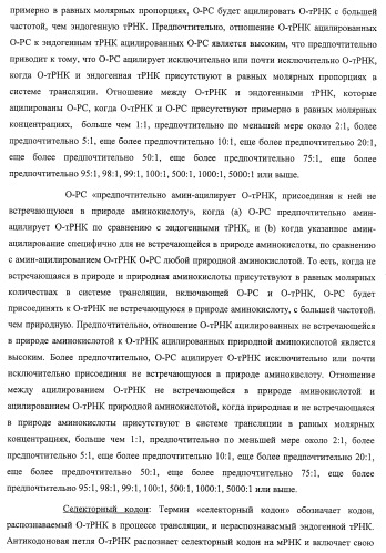 Система экспрессии компонентов ортогональной трансляции в эубактериальной клетке-хозяине (патент 2467069)