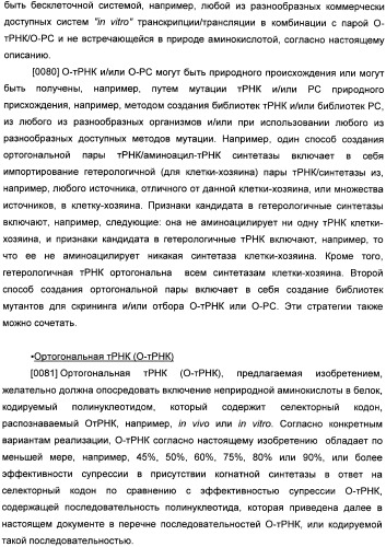 Генетически кодируемые флюоресцентные кумариновые аминокислоты (патент 2473690)
