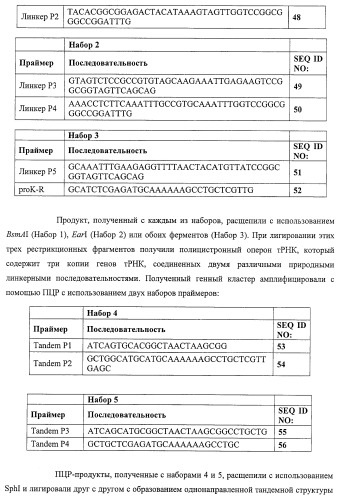 Система экспрессии компонентов ортогональной трансляции в эубактериальной клетке-хозяине (патент 2467069)