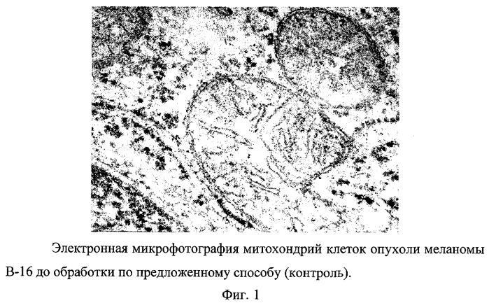 Способ подавления опухолевого роста (патент 2375090)