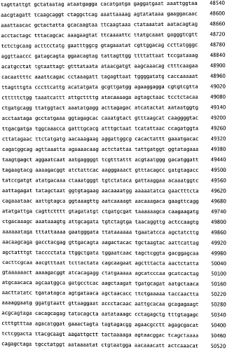 Бактериофаг, обладающий активностью против pseudomonas aeruginosa, белки бактериофага и способы их применения (патент 2580248)