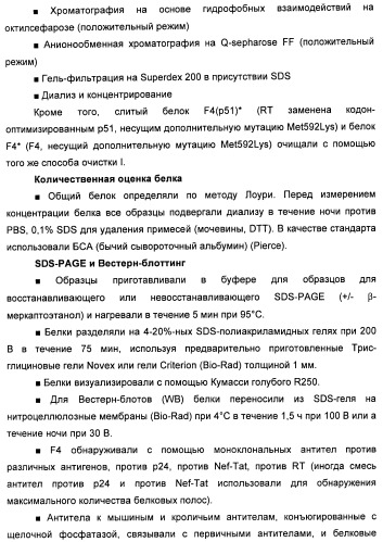 Вакцина для предупреждения и лечения вич-инфекции (патент 2441878)