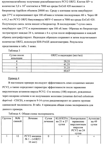 Поливалентные иммуногенные композиции pcv2 и способы получения таких композиций (патент 2488407)