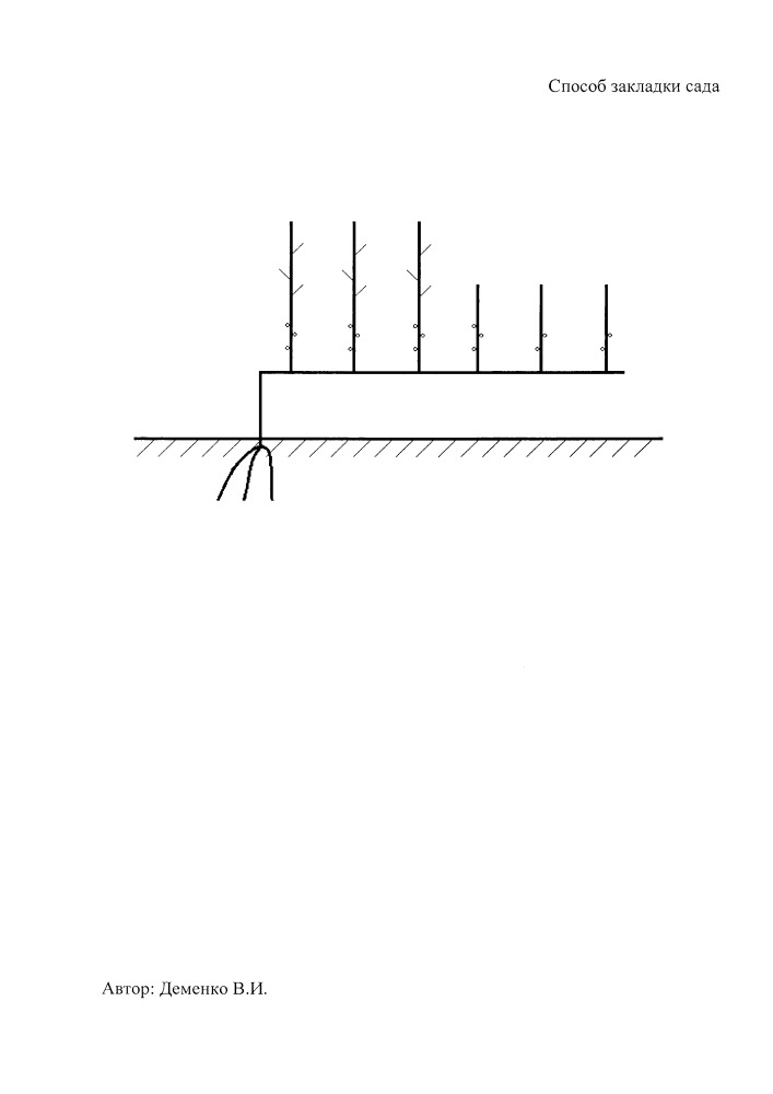 Способ закладки сада (патент 2663304)