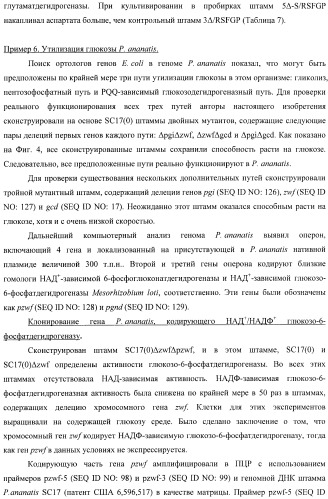 Бактерия, принадлежащая к роду pantoea, - продуцент l-аспартата или метаболита, являющегося производным l-аспартата, и способ получения l-аспартата или метаболита, являющегося производным l-аспартата (патент 2411289)