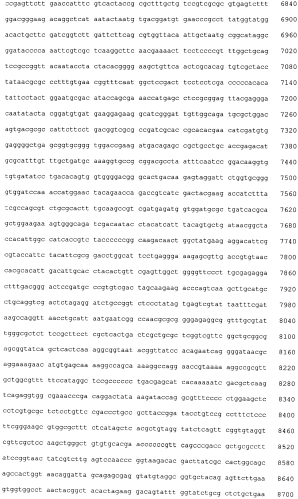 Фитаза, ее применение, корм и кормовая добавка для животных, содержащие ее (патент 2567000)