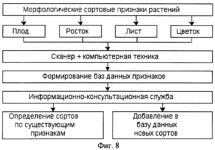 Способ регулирования производства агропродукции (патент 2265989)