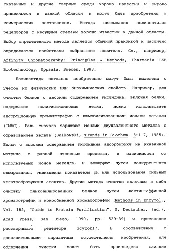 Новый лиганд рецептора цитокина zcytor17 (патент 2360923)