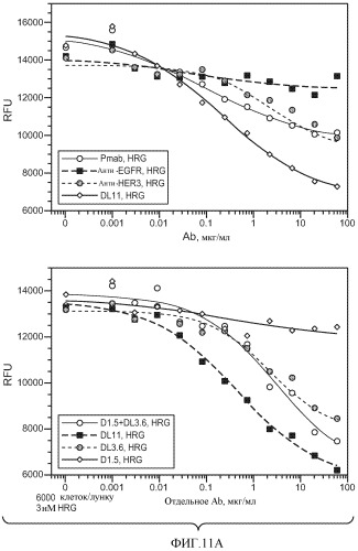 Антитела к her (патент 2504553)