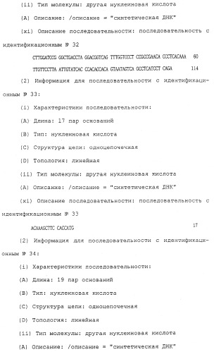 Антитела против белка, родственного паращитовидному гормону человека (патент 2322453)