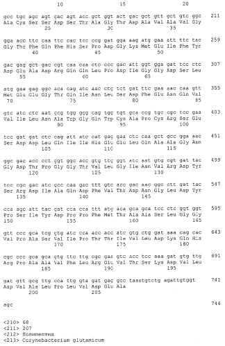 Гены corynebacterium glutamicum, кодирующие белки резистентности и толерантности к стрессам (патент 2303635)