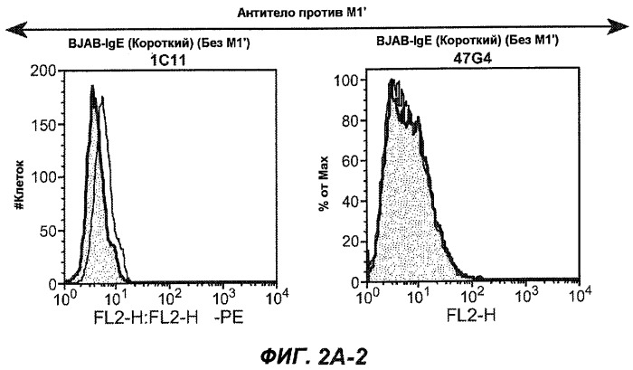 Апоптотические антитела против ige (патент 2500686)