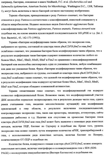 Способ получения l-треонина с использованием бактерии, принадлежащей к роду escherichia, в которой инактивирован кластер генов sfmacdfh-fimz или ген fimz (патент 2333953)