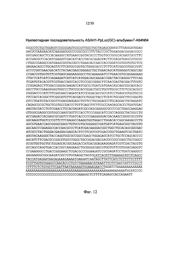 Молекулы искусственной нуклеиновой кислоты, содержащие 5'utr гена top (патент 2660565)