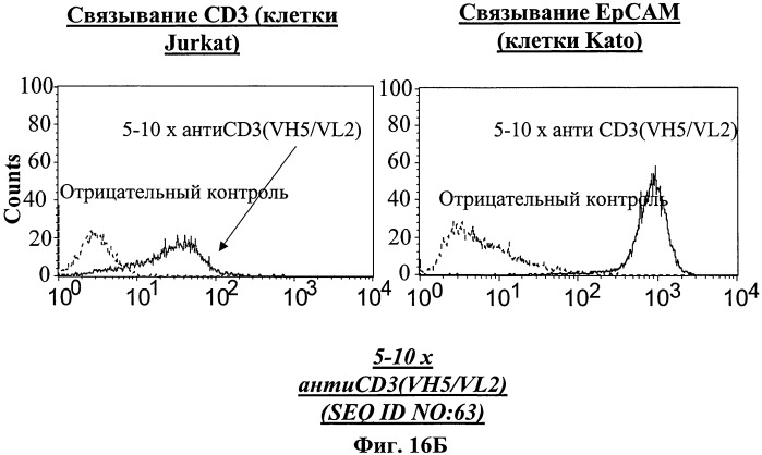 Полиспецифические деиммунизирующие cd3-связующие (патент 2401843)