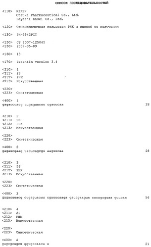 Одноцепочечная кольцевая рнк и способ ее получения (патент 2523596)