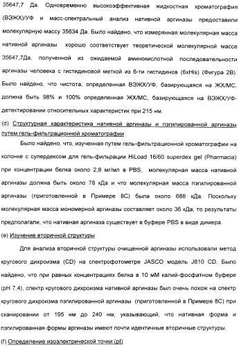 Фармацевтический препарат и способ лечения злокачественных опухолей у человека с помощью аргининовой депривации (патент 2335539)