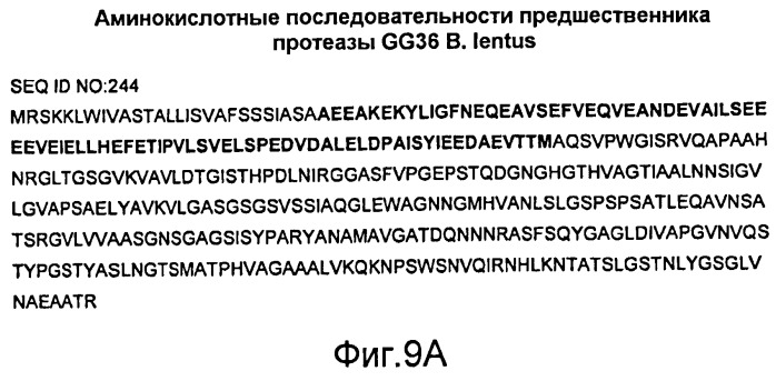 Мoдифицированные протеазы (патент 2496875)