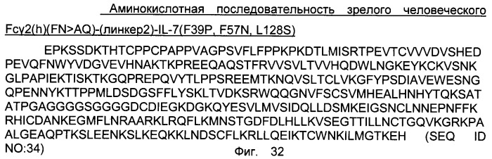 Варианты il-7 со сниженной иммуногенностью (патент 2437893)