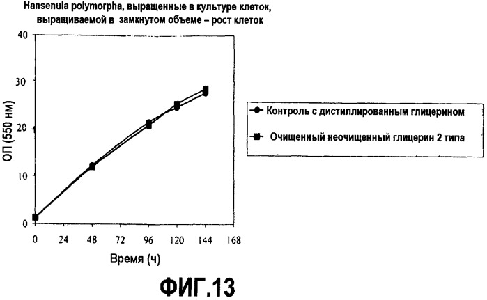 Способ получения белка (патент 2470996)