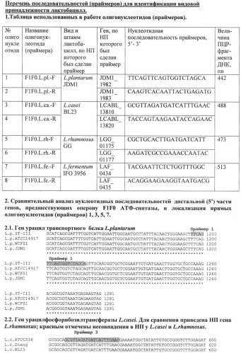 Способ видовой идентификации лактобацилл l.casei/paracasei, l.fermentum, l.plantarum и l.rhamnosus (патент 2508406)