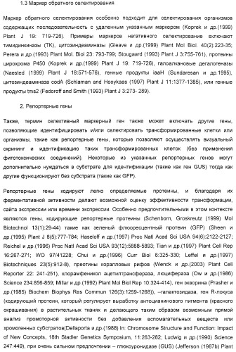 Улучшенная трансформация сои (патент 2389797)