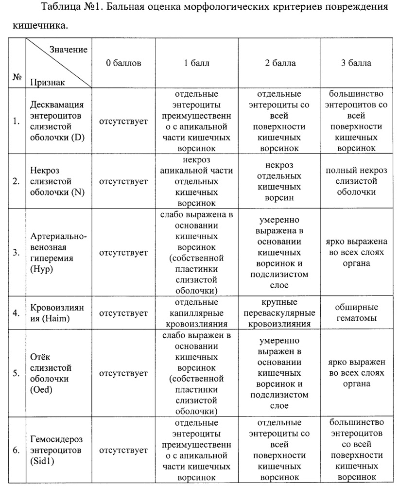 Способ морфологической оценки влияния различных лекарственных форм железа для энтерального применения на тонкий отдел кишечника у экспериментальных животных (патент 2641979)