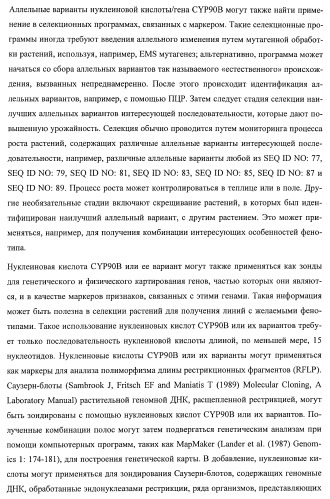 Растения, имеющие улучшенные характеристики роста, и способы их получения (патент 2463352)