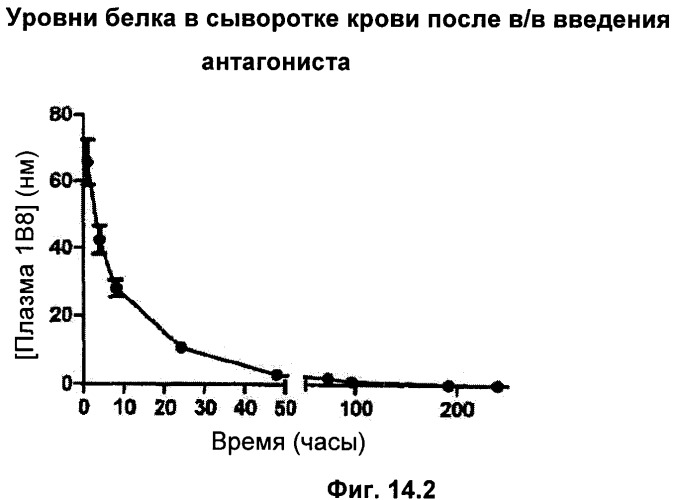 Химерный полипептид - антагонист рецептора гормона роста, нуклеиновая кислота, экспрессирующий вектор, применение химерного полипептида (варианты), фармацевтическая композиция, клетка, способ получения химерного полипептида и способ лечения (патент 2346047)