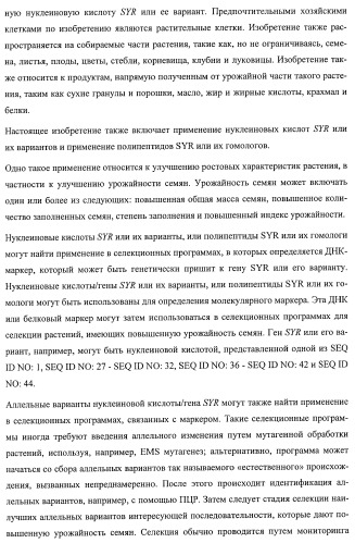 Растения, имеющие улучшенные характеристики роста, и способы их получения (патент 2463352)