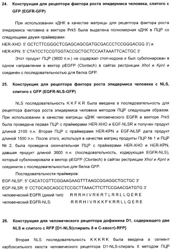 Способ идентификации соединений, взаимодействующих с трансмембранными белками (патент 2326166)