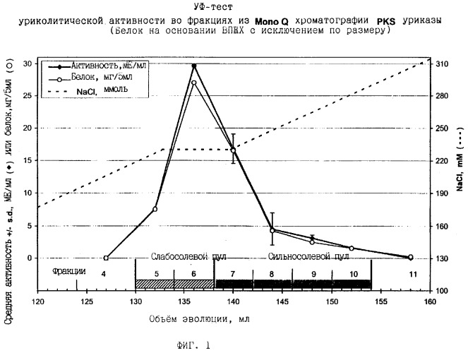 Очищенный препарат уриказы млекопитающего, способ его получения, препарат активного уриказного конъюгата и фармацевтический состав (патент 2281954)